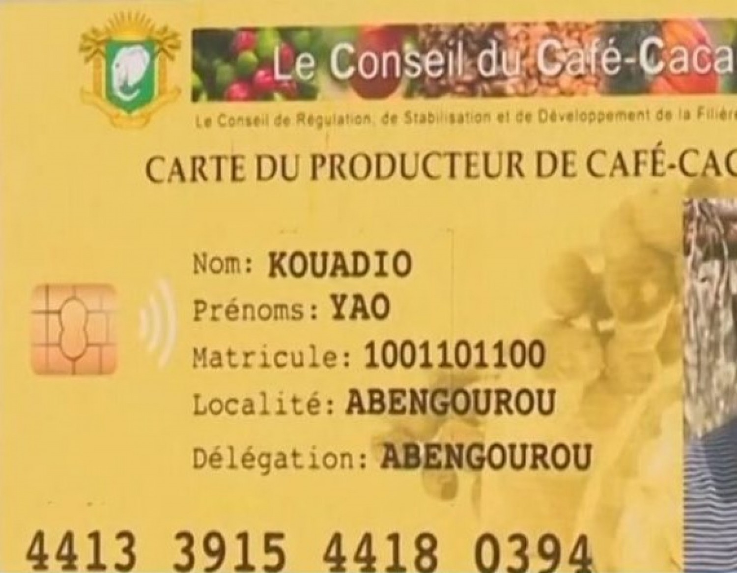 Côte d'Ivoire : Commercialisation du Café-Cacao, la carte de producteur obligatoire dans les transactions bord champ à compter du 1er septembre 2026 ?