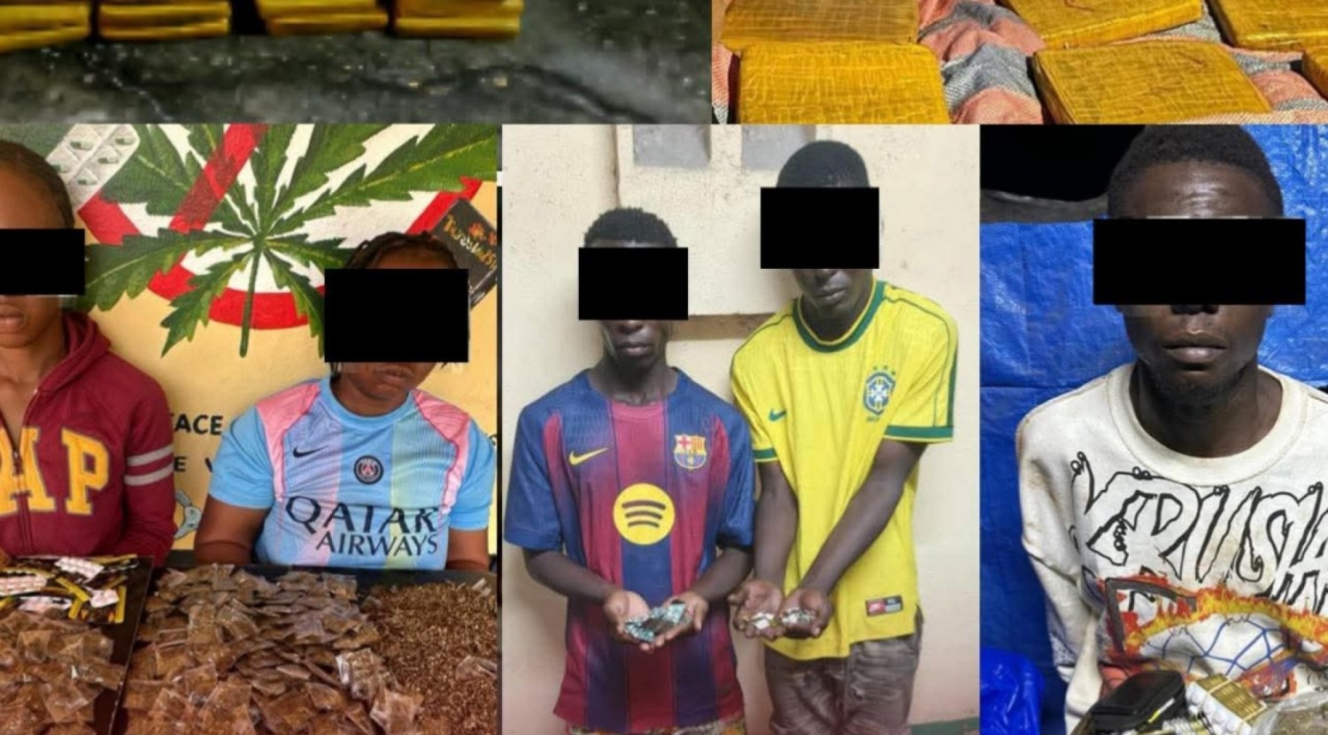 Côte d'Ivoire : Trafic de drogue et de médicaments contrefaits, une double opération policière met fin à plusieurs réseaux entre Abidjan et le nord du pays