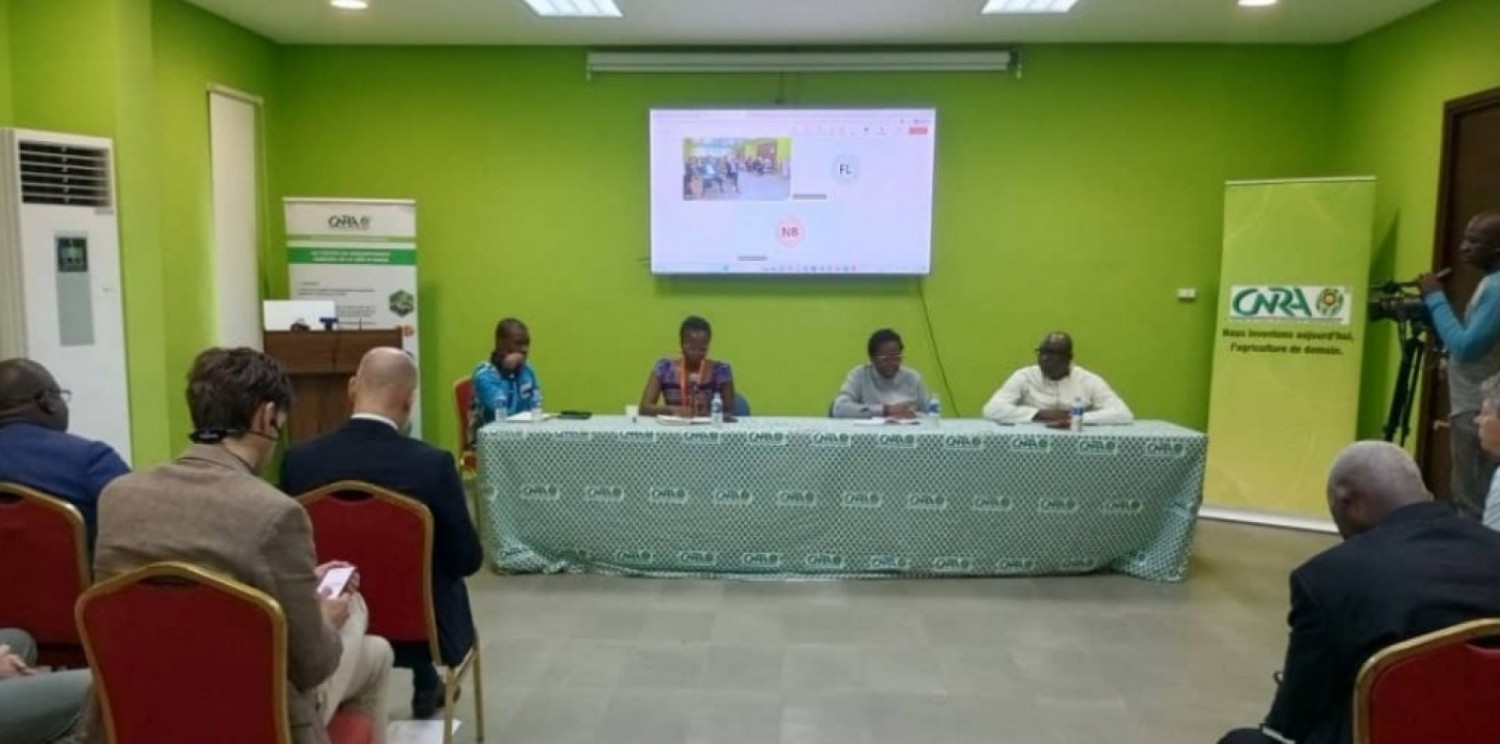 Côte d'Ivoire : Coopération agricole, la Haye et Abidjan misent sur l'innovation semencière pour renforcer la sécurité alimentaire