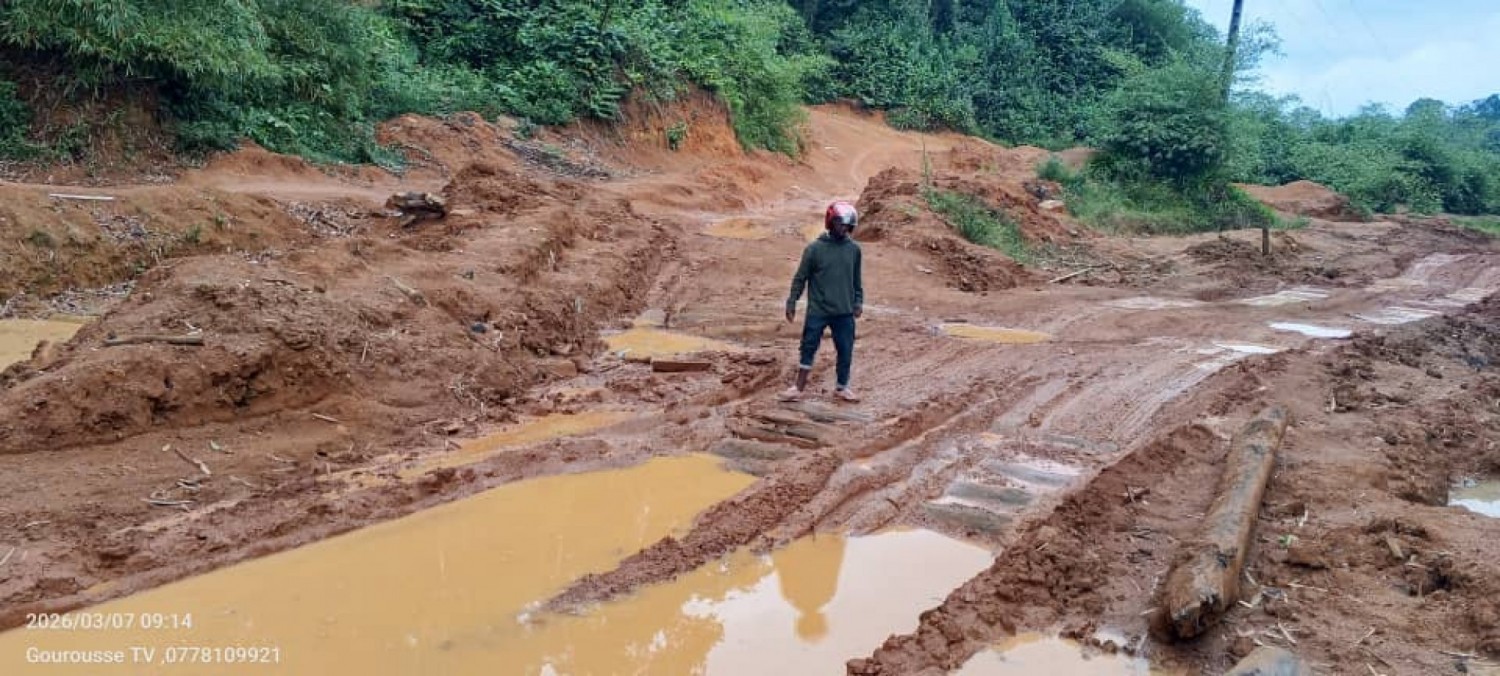 Côte d'Ivoire : Danané, routes en lambeaux, villages isolés, le cri d'alarme du Gouroussé Centre et Nord face à l'enclavement persistant