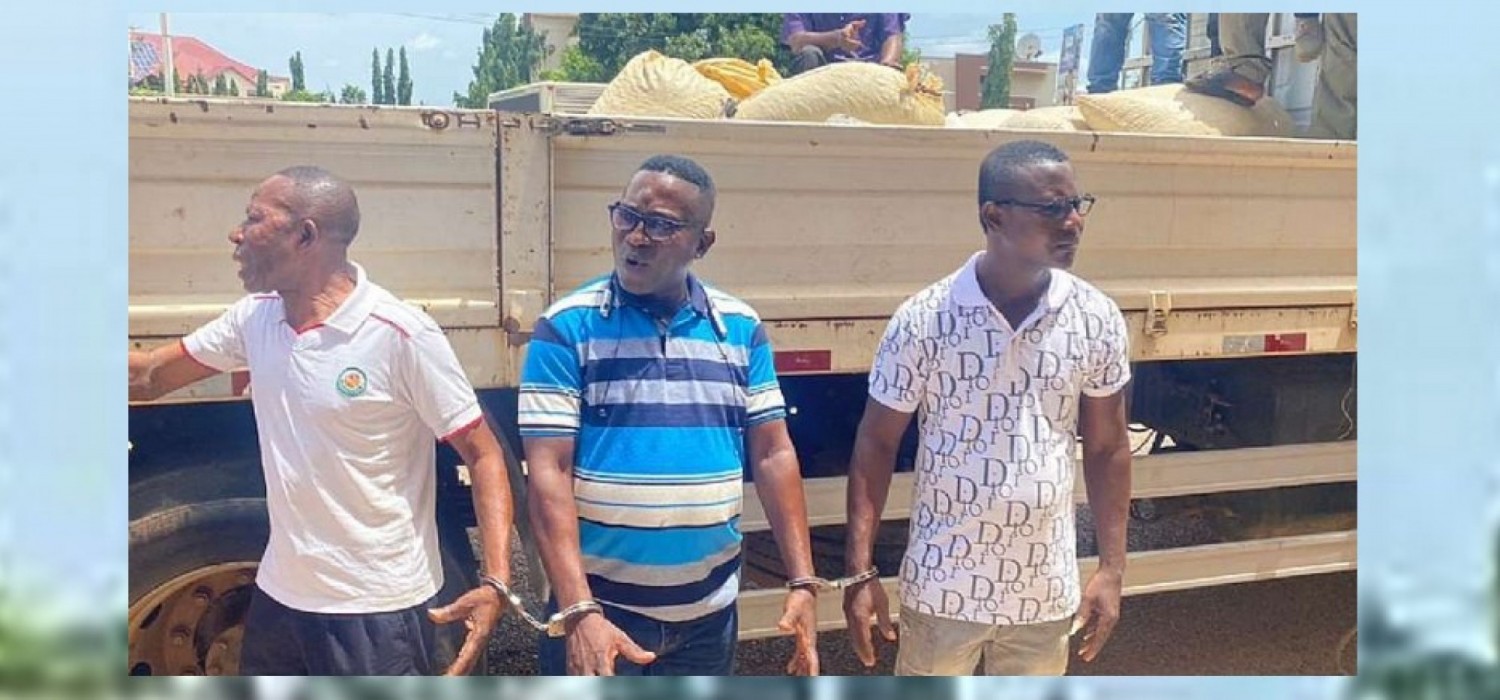Ghana-Côte d'Ivoire :  Saisie de 100 sacs de fèves de cacao en provenance de la Côte d'Ivoire, quatre suspects arrêtés
