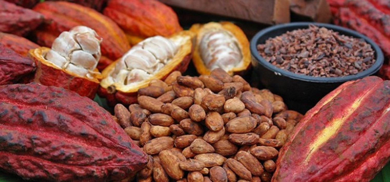 Ghana :  Détournement de fonds pour acheter des fèves de cacao ivoiriennes de contrebande