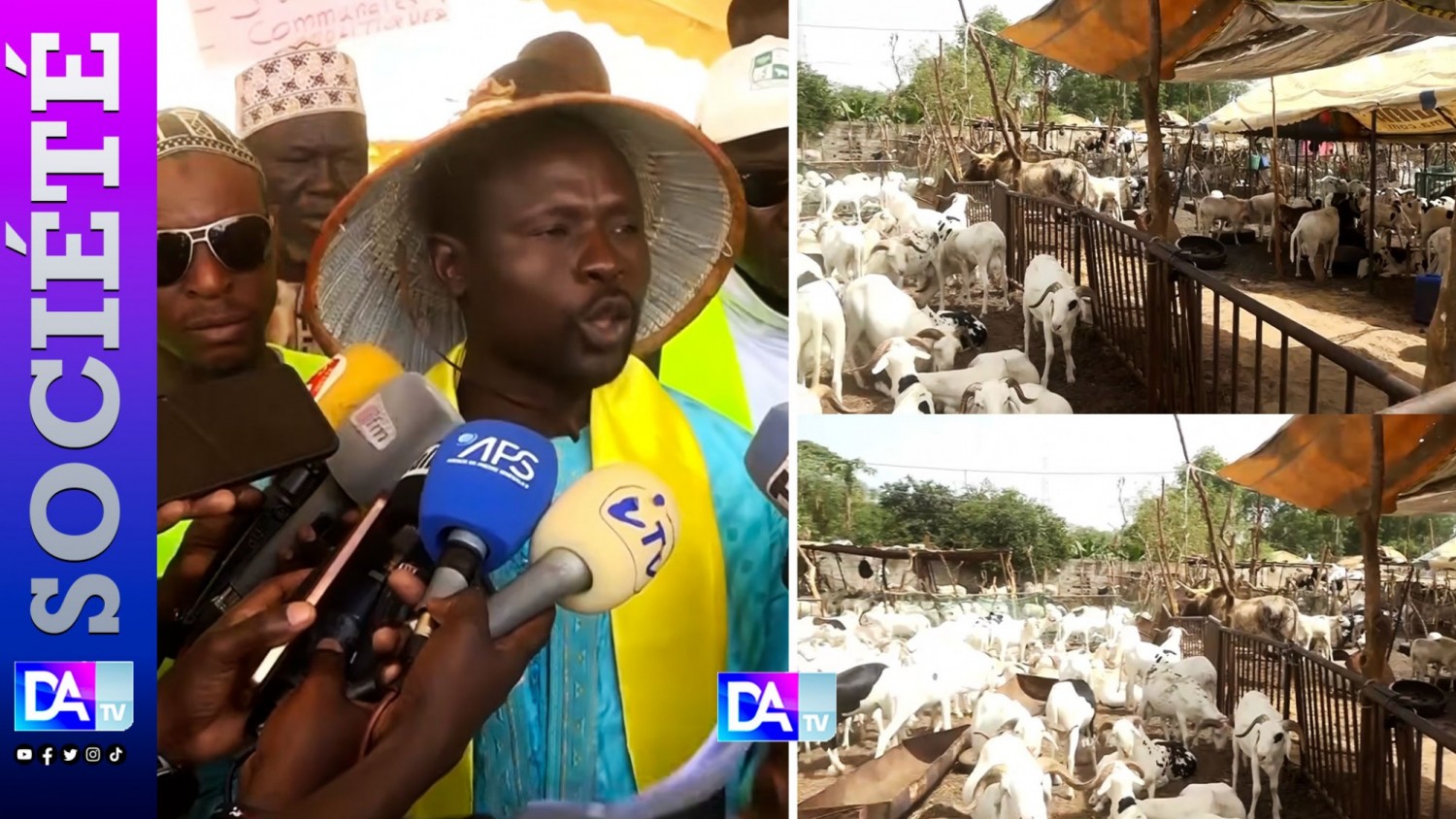 Sénégal : Les éleveurs dénoncent le vol de 1.062 têtes de bétail