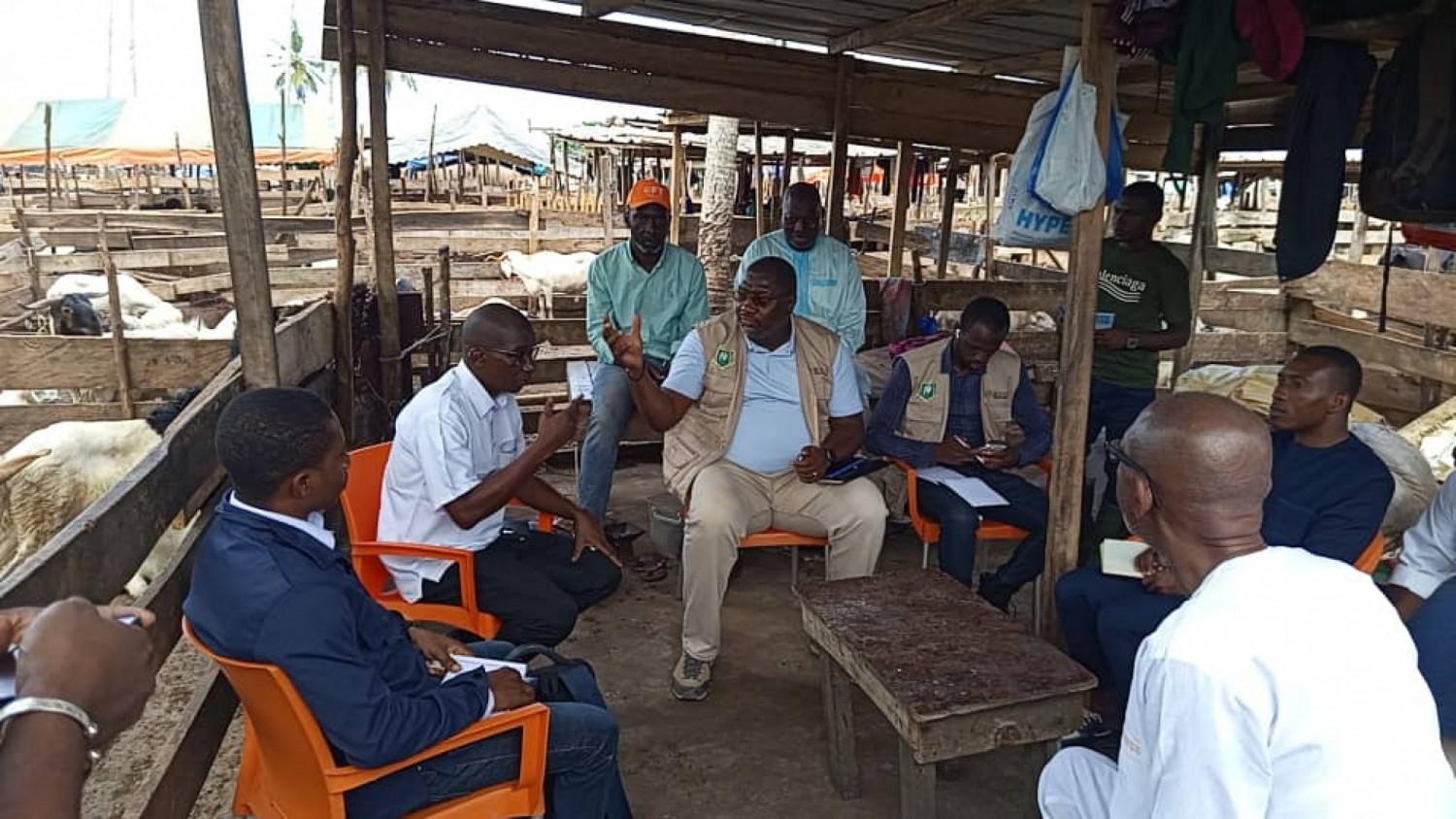 Côte d'Ivoire : Tabaski 2026, le GTSAM évalue le marché à bétails de Modeste, approvisionné à 70 % malgré les obstacles régionaux