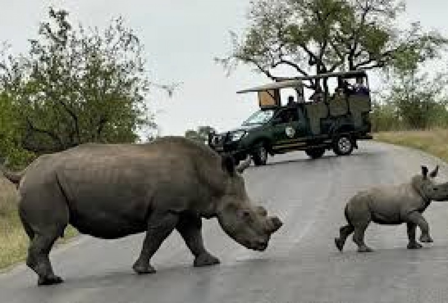 Afrique du Sud : Deux corps découverts dans un étang du SANParks