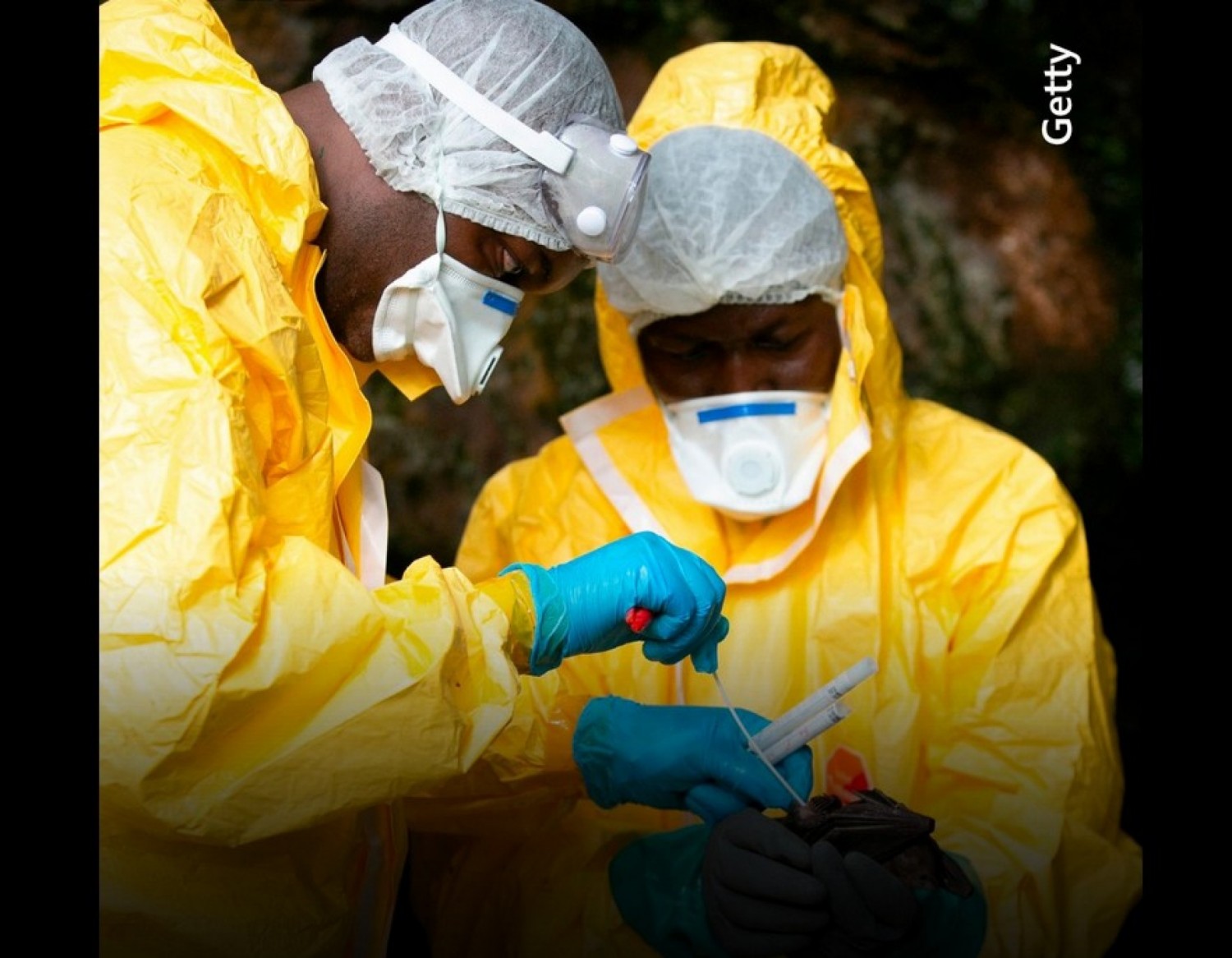 Afrique : l'Union africaine promet un vaccin contre la souche Bundibugyo Ebola d'ici fin 2026