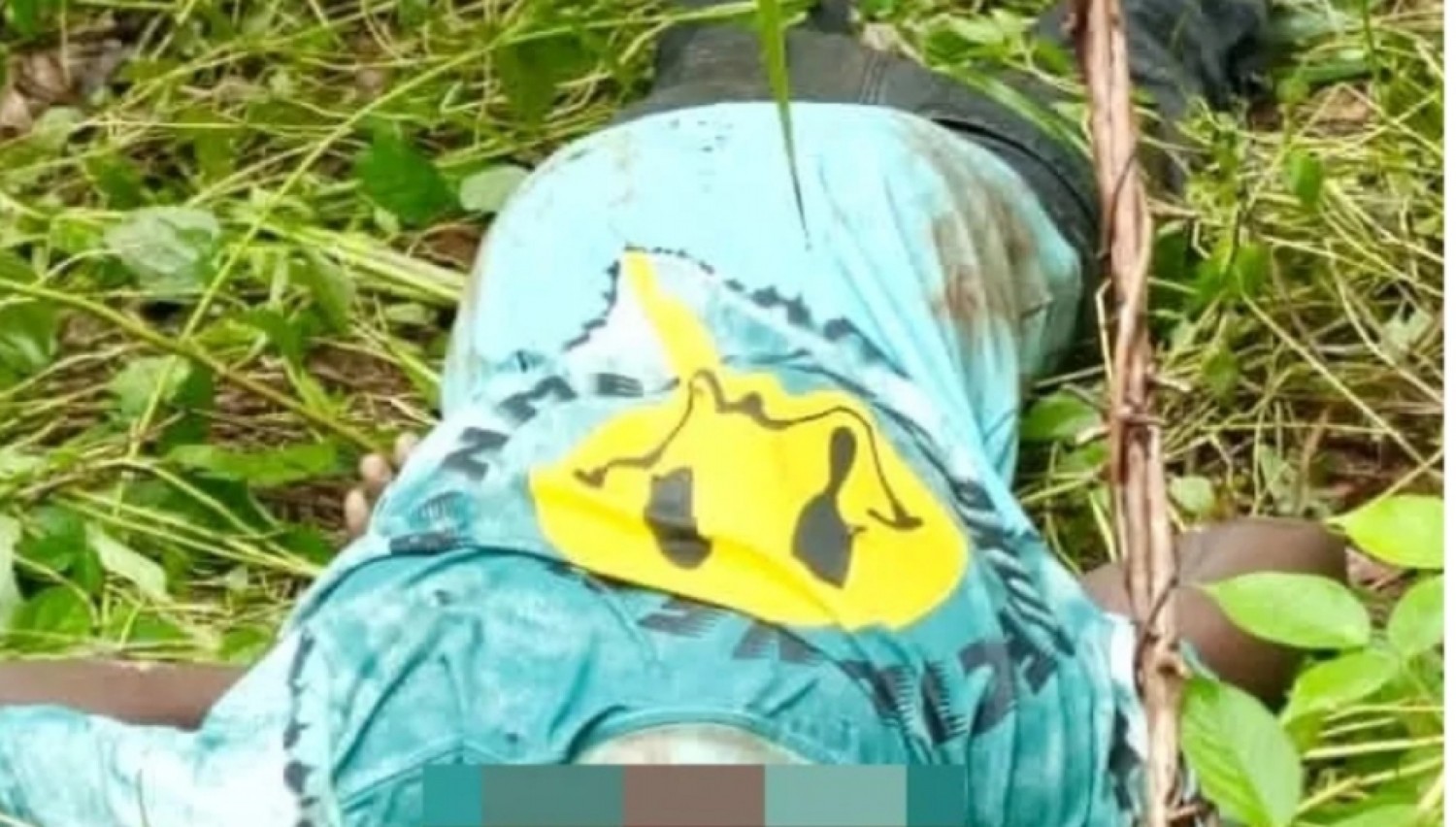 Côte d'Ivoire : Moronou, un jeune orpailleur burkinabè décapité en pleine brousse, le meurtrier s'enfuit avec sa tête