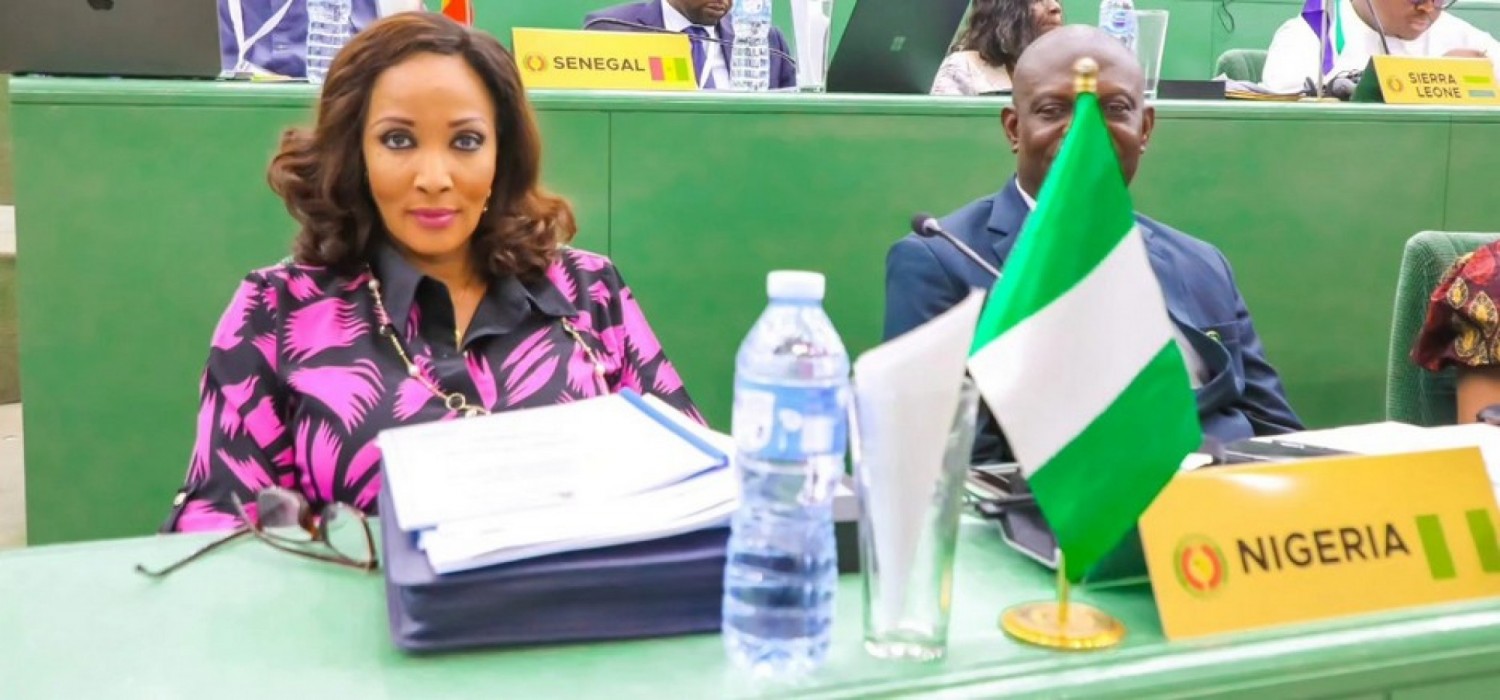 Nigeria :  Le gouvernement va rapatrier plus de 1 000 nigérians de l'Afrique du Sud