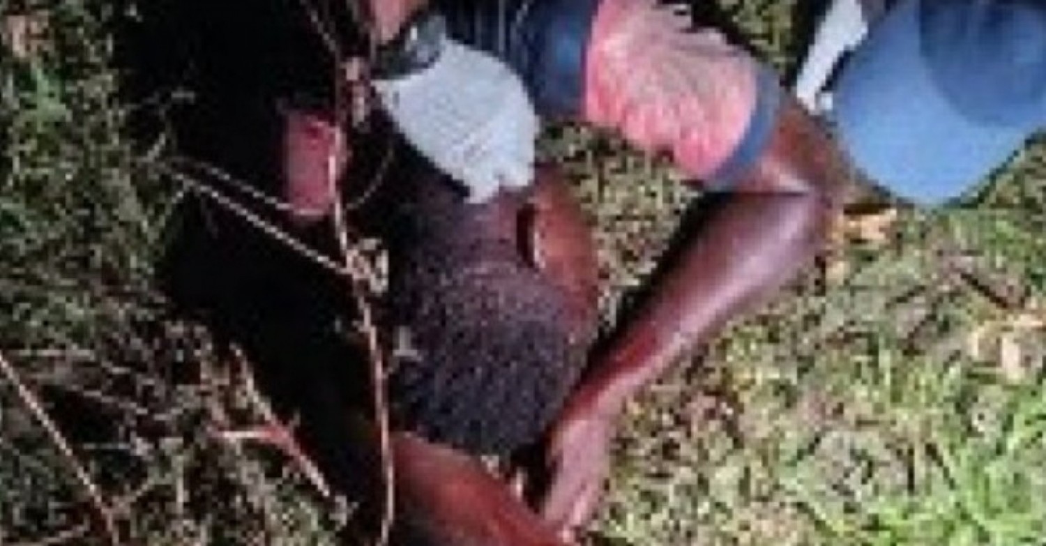 Côte d'Ivoire : Un présumé voleur de poulets dans une ferme poignardé à mort