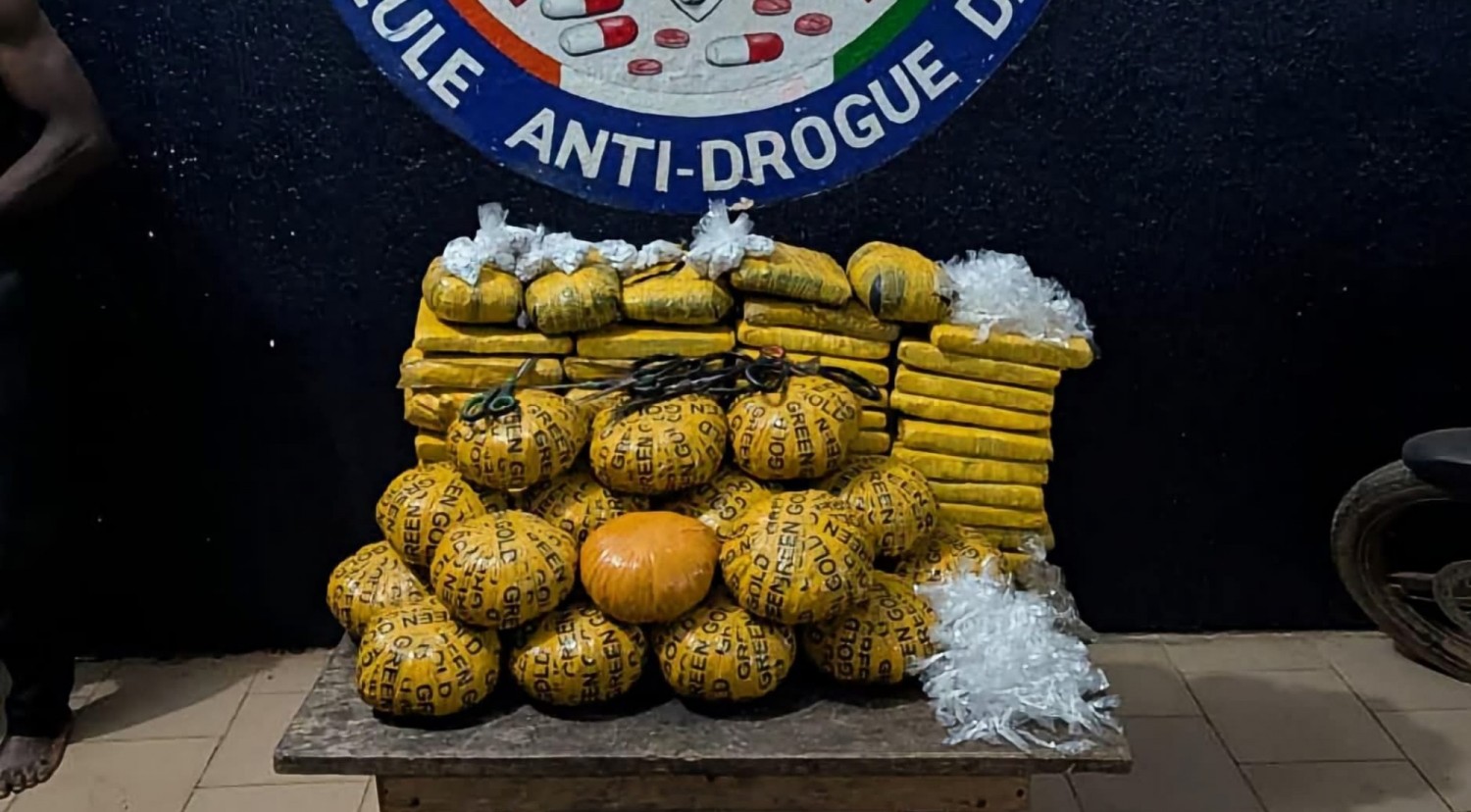 Côte d'Ivoire :  Daloa, un vaste réseau de trafic de stupéfiants mis à nu par la gendarmerie