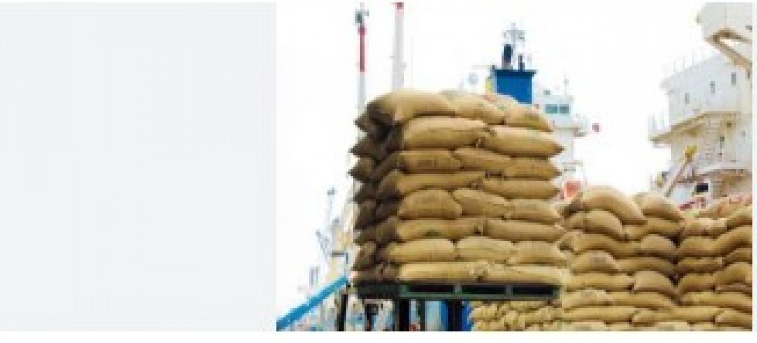 Côte d'Ivoire : Les exportations agricoles ont atteint 10 544 milliards FCFA en 2025
