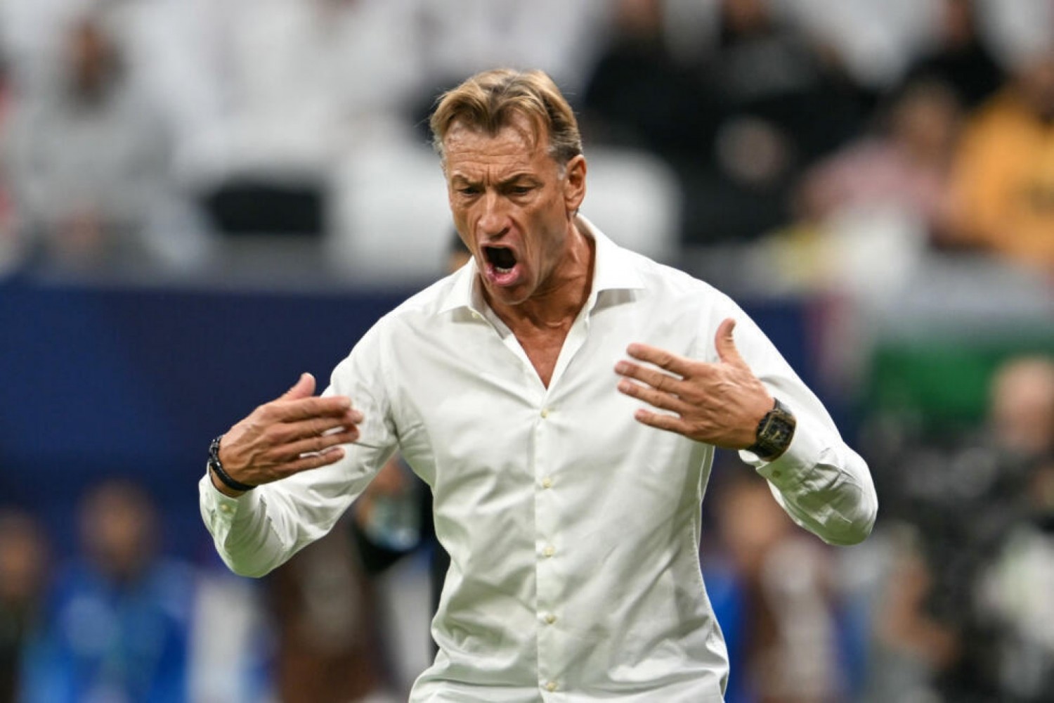 Tunisie : Après le 1-5 contre la Suède, la fédération mise sur Hervé Renard pour sauver son Mondial