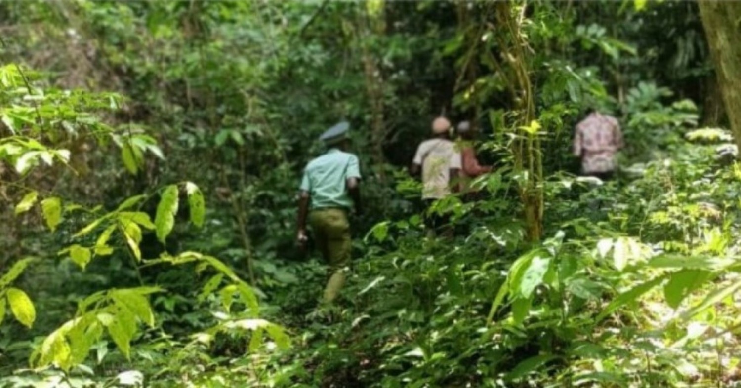 Côte d'Ivoire : Opération spéciale de déguerpissement et de sécurisation dans la Forêt Classée de Yapo-Abbé, voici les premiers résultats