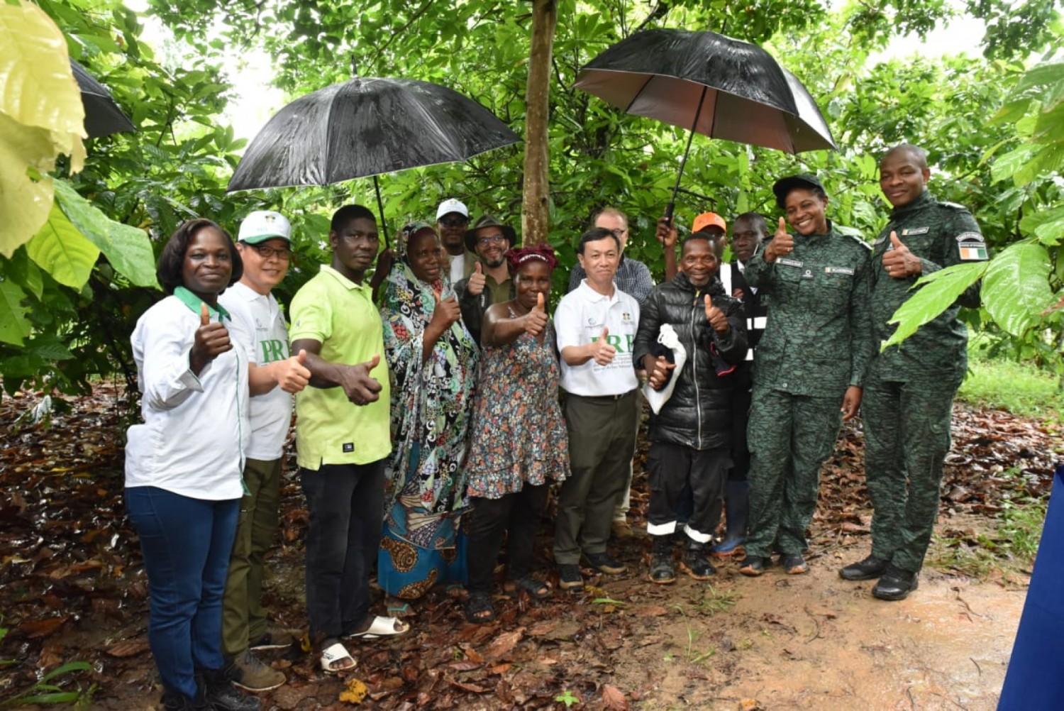 Côte d'Ivoire : De pays apprenant à référence mondiale, le modèle REDD+ ivoirien inspire le Cambodge