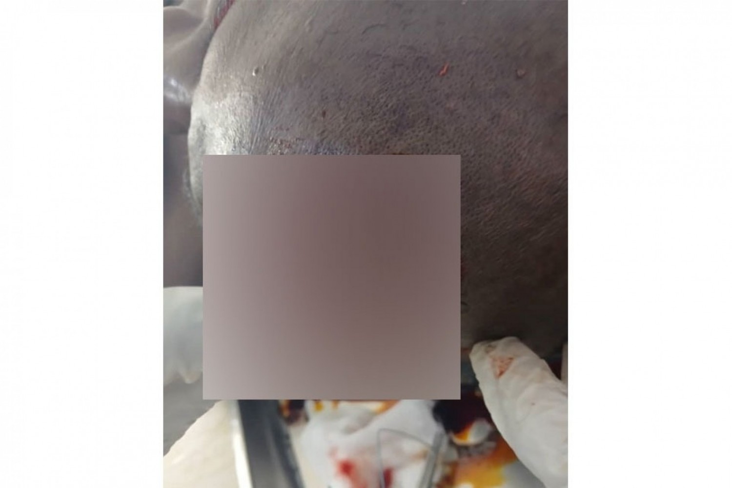 Côte d'Ivoire : Après les affrontements entre Samorossoba et Kouto (Bagoué), un dispositif sécuritaire mis en place afin d'éviter d'éventuelles représailles