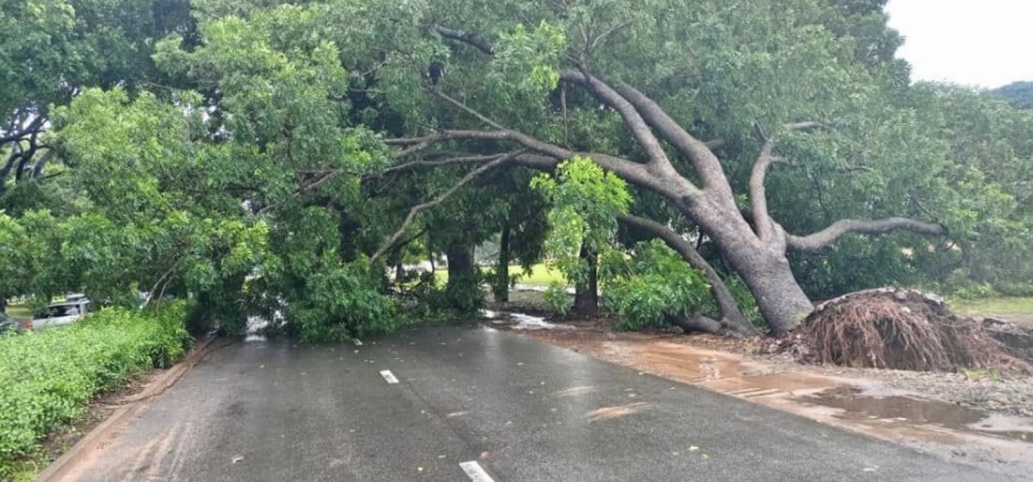 Togo :  Fortes pluies dans le Grand Lomé, alerte météo et consignes
