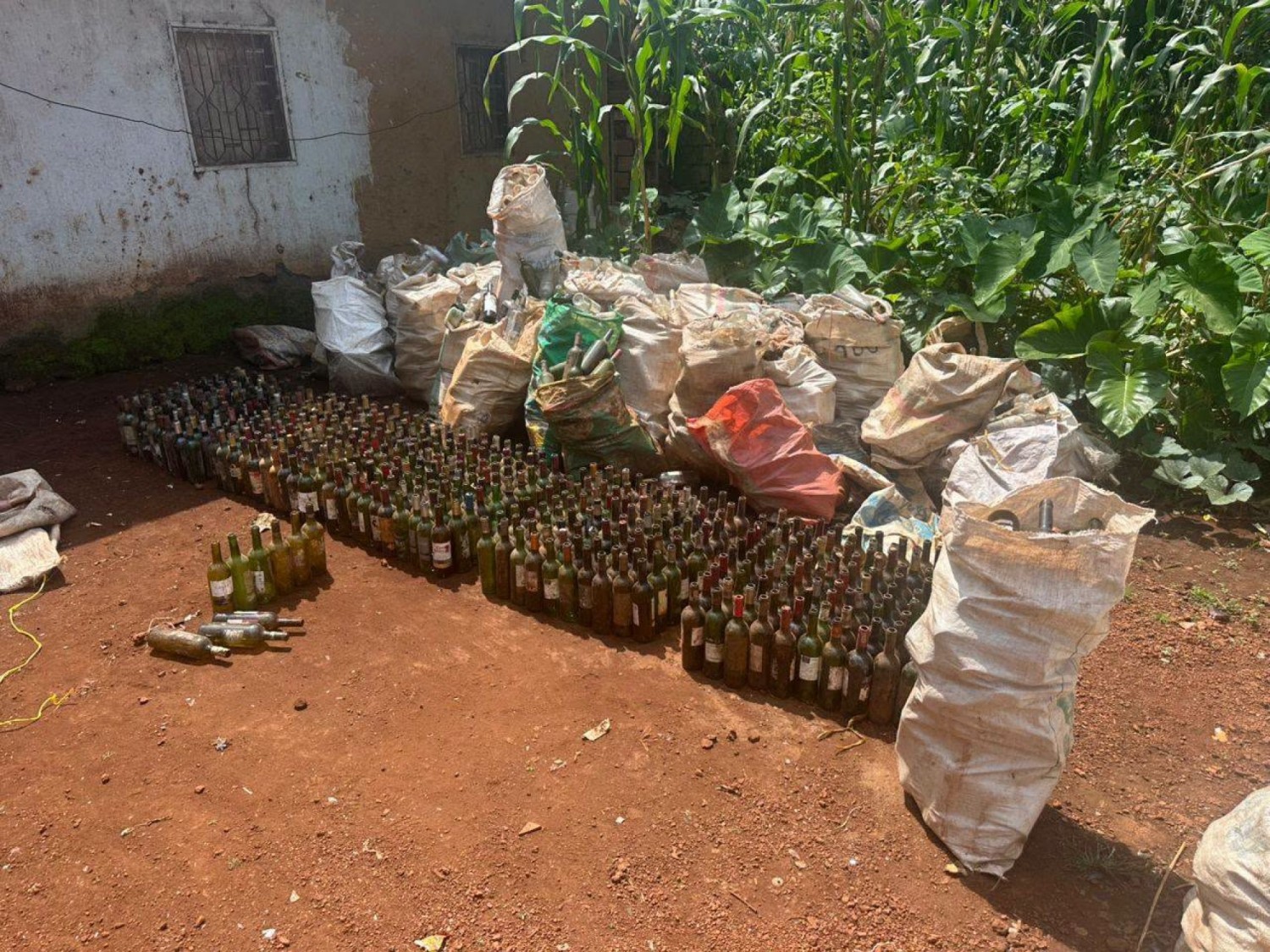 Cameroun : Vins et whisky frelatés, ce que la douane a découvert à Bandjoun fait froid dans le dos