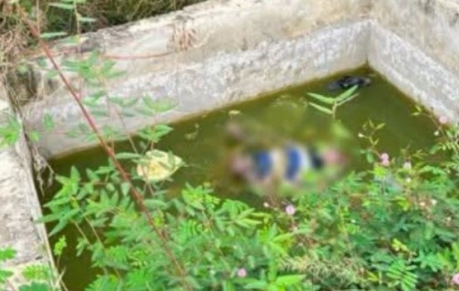 Côte d'Ivoire : Cavally, 02 décès suite à une sortie de route d'un tricycle et un enfant retrouvé mort dans une fosse septique