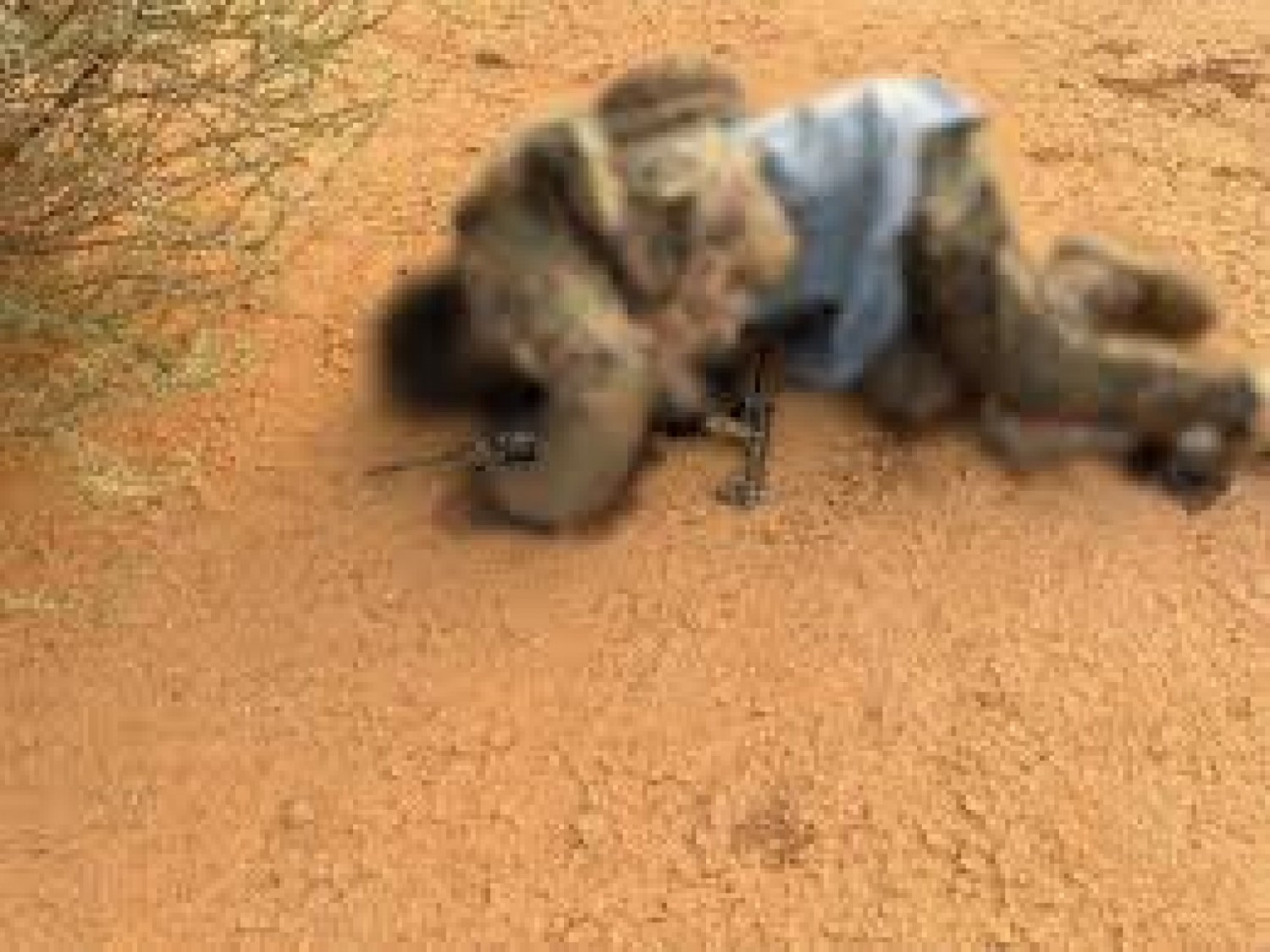 Mali : L'ONU réclame une enquête sur l'exécution  sommaire de soldats capturés