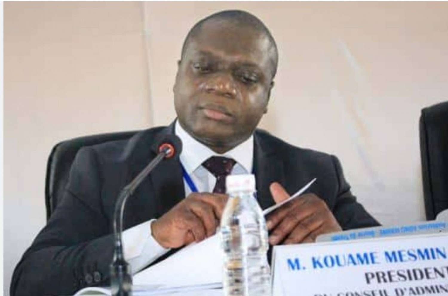 Côte d'Ivoire : Des responsables d'instances et délégués de la diaspora du PPA-CI rejoignent Don Mello