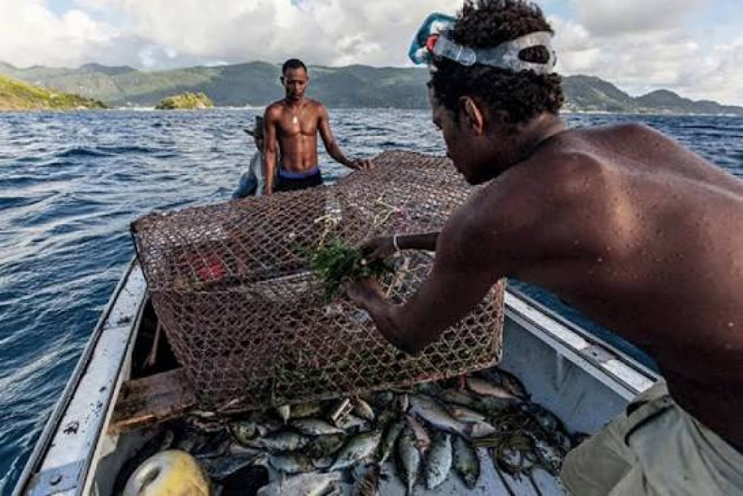 Côte d'Ivoire : Pêche artisanale maritime, réouverture officielle des activités dès le 1er août