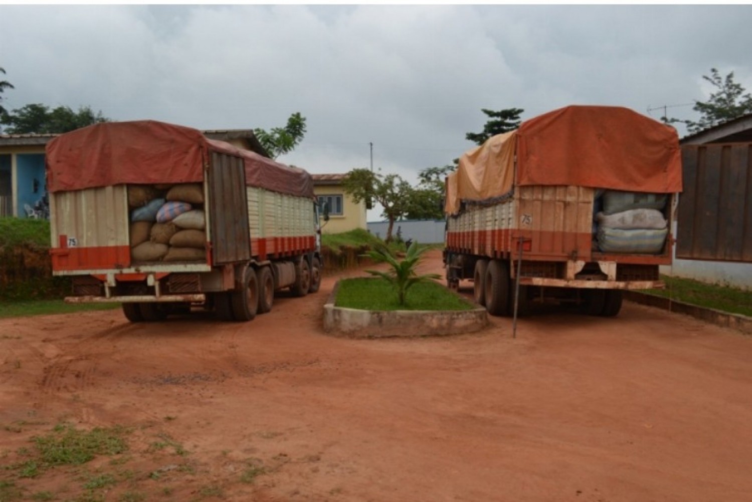 Côte d'Ivoire-Guinée : N'Zérékoré cœur des circuits informels du Cacao ivoirien ?