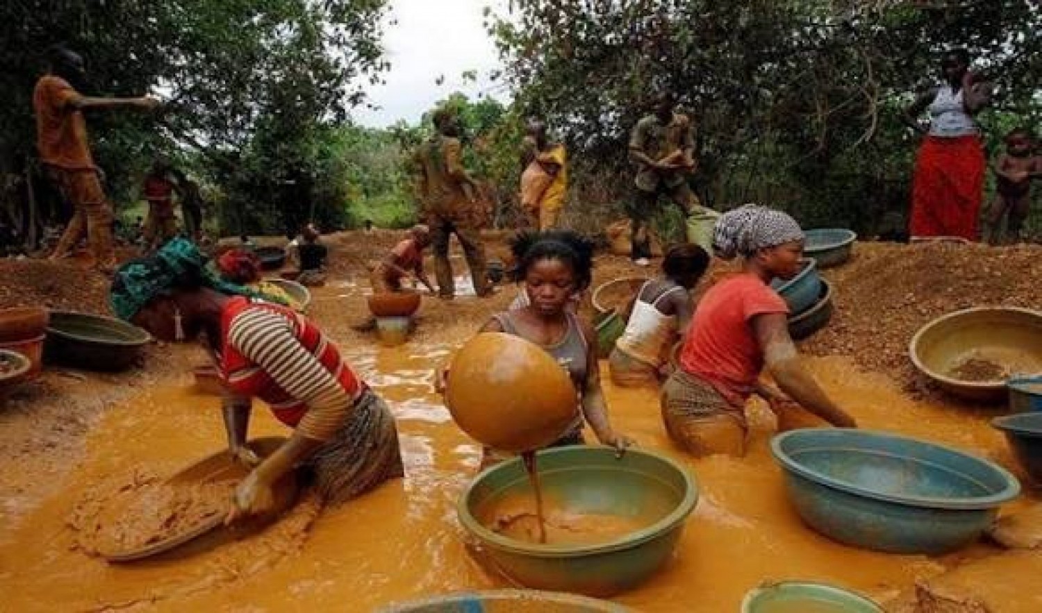 Côte d'Ivoire : Orpaillage clandestin, le Gouvernement hausse le ton et met en garde les complices: « la loi sera strictement appliquée »