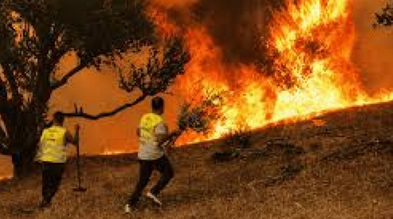 Algérie : Après 12 morts dans les incendies, l'Algérie suspend festivités et compétitions