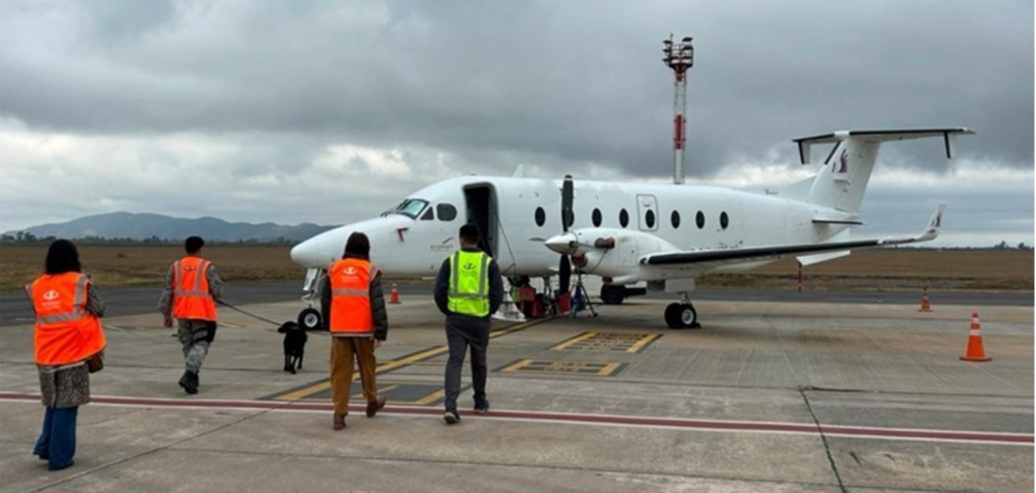 Côte d'Ivoire-Nigeria : 16 œuvres d'art soigneusement emballées et transportées à destination de Lagos sans déclaration en douane saisies (OMD)