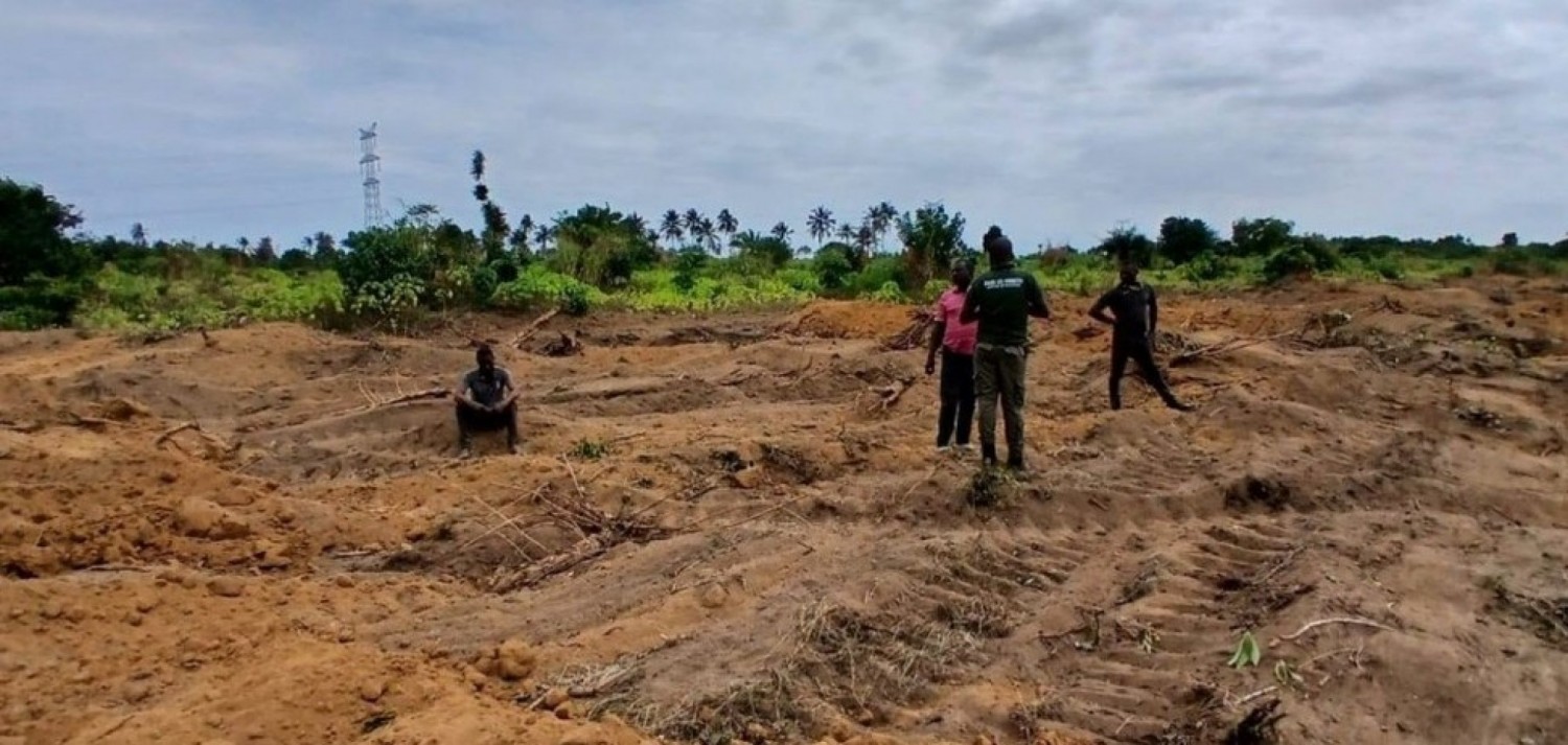 Côte d'Ivoire : Un vaste projet de lotissement dans la forêt classée d'Audouin (Jacqueville) annulé, des individus interpellés