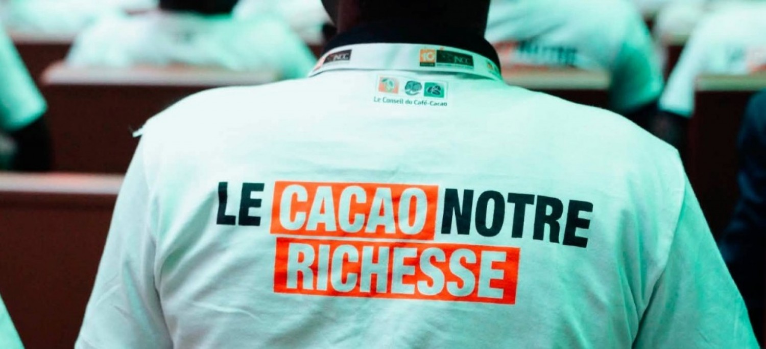 Côte d'Ivoire : Cacao, 1 200 FCFA ici, jusqu'à 2 900 FCFA ailleurs…, pourquoi comparer les prix ivoiriens aux prix étrangers peut être trompeur