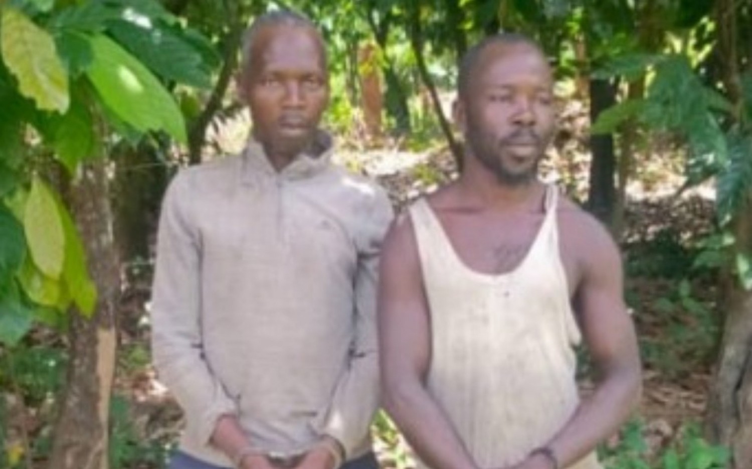 Côte d'Ivoire : Forêt Classée de Kani-Bandama (Korhogo), 02 individus mis aux arrêts dont l'un des cerveaux présumés de la vente des terres en forêt classée