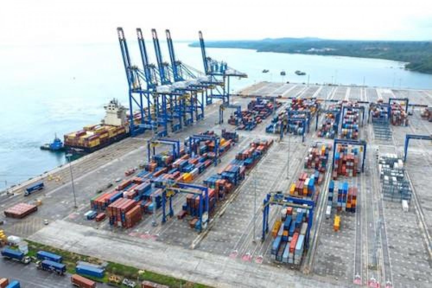 Cameroun–BID : Un partenariat cinquantenaire qui s'intensifie avec le lancement du Cadre d'Engagement Pays 2027-2029