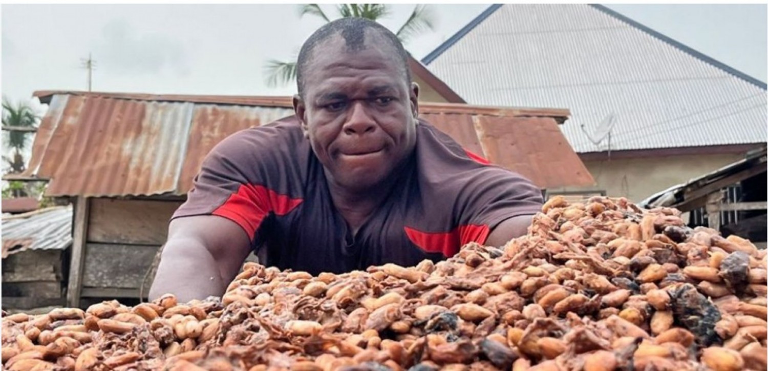 Côte d'Ivoire : Crise du Cacao, le FPI exige une revalorisation ou une subvention spéciale du prix Bord Champ à un niveau décent