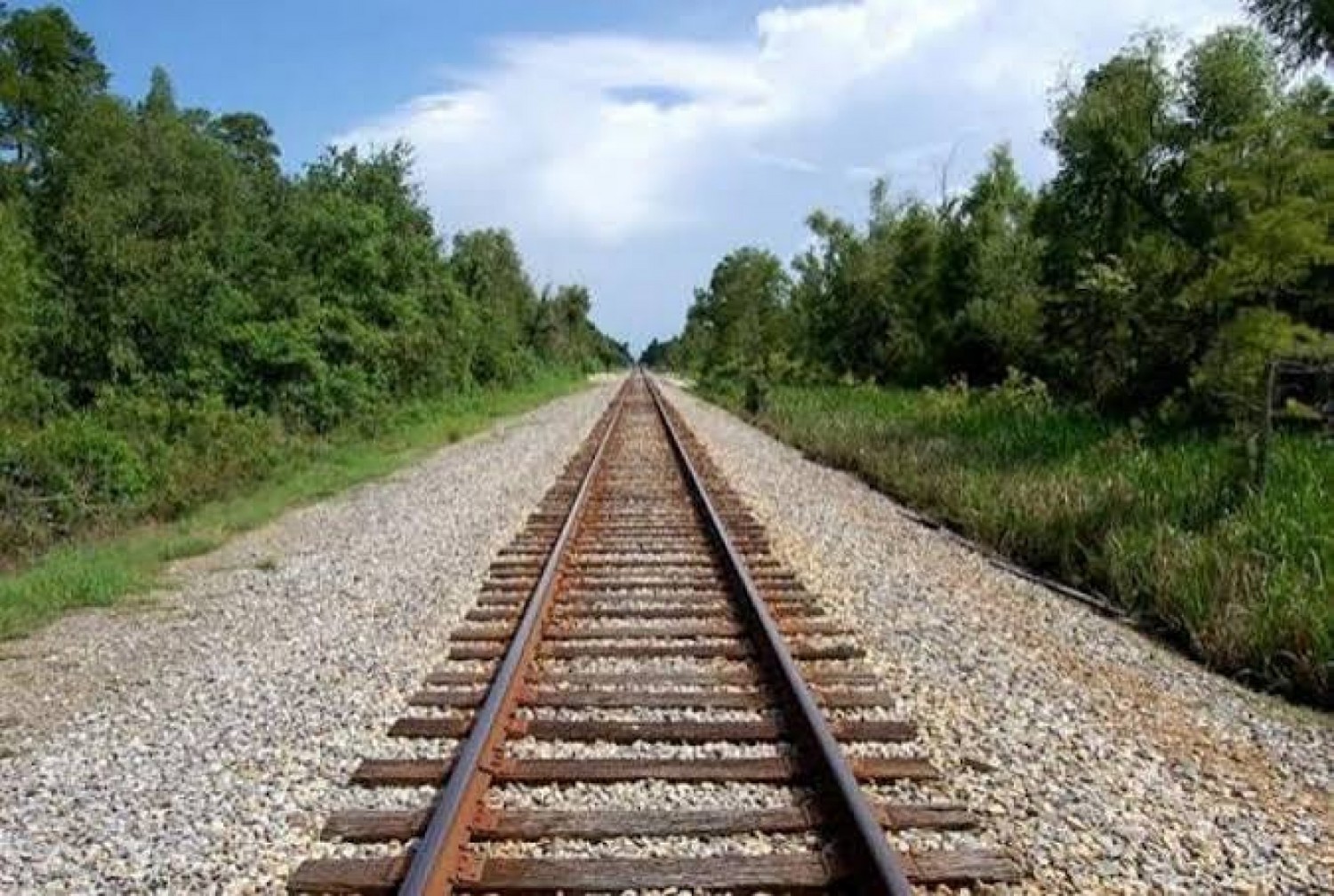 Cameroun - RCA  : Un chemin de fer de 1 350 km entre Bangui et Kribi, A&S Resources annonce un financement de 6 milliards de dollars