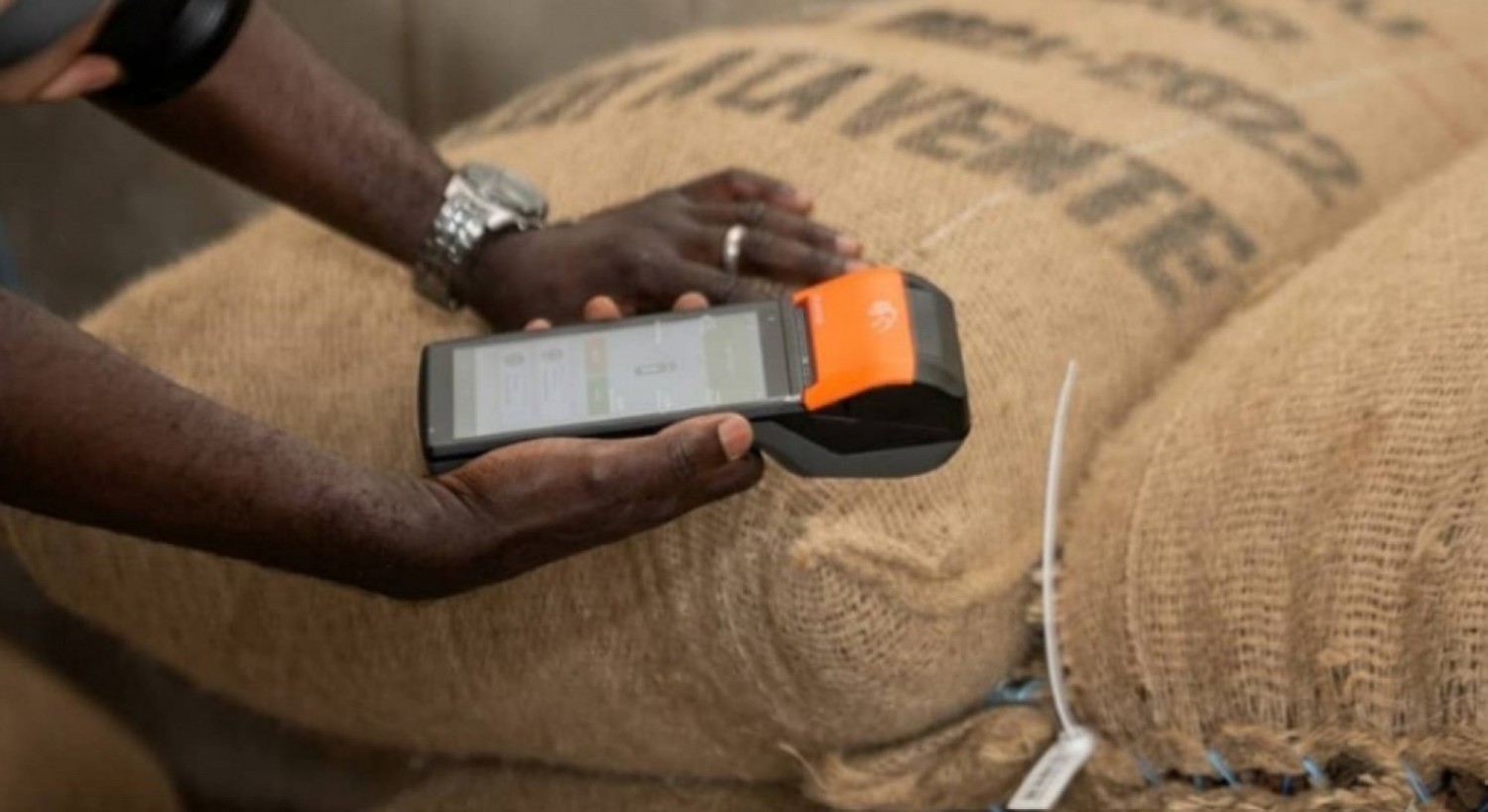 Côte d'Ivoire : Cacao, 26 000 tonnes déjà tracées, la Côte d'Ivoire accélère avant l'échéance européenne