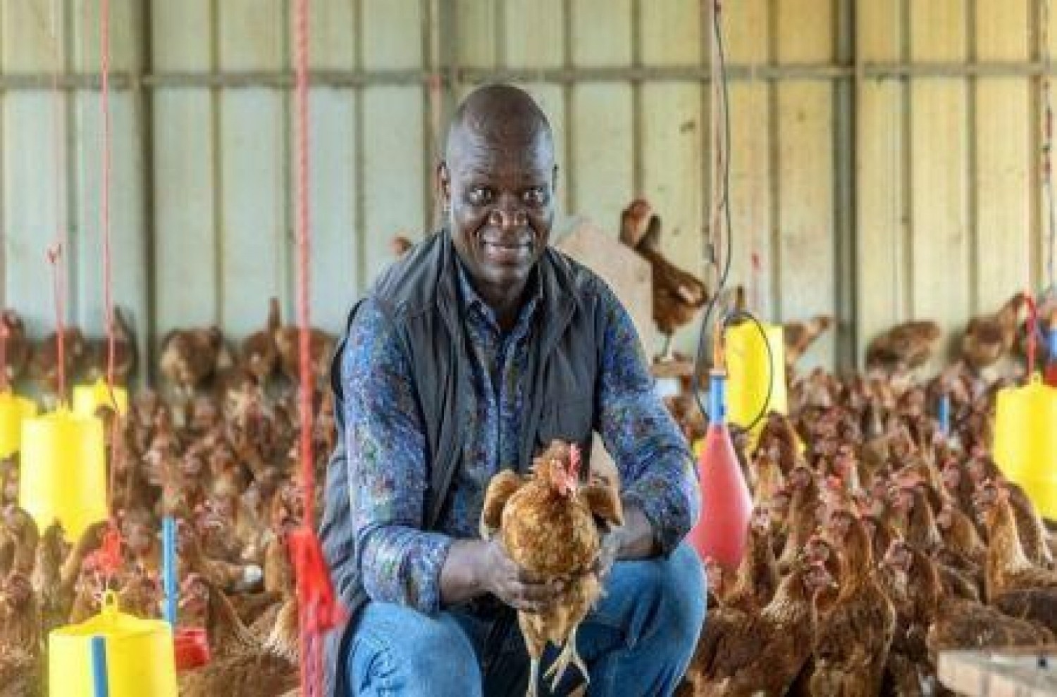 Gabon : L'interdiction des importations de poulet en 2027 inquiète les États-Unis