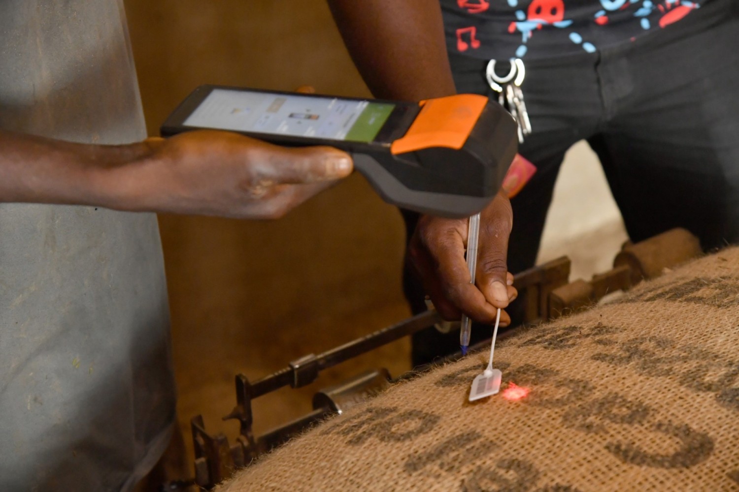 Côte d'Ivoire : Traçabilité du cacao, la barre des 50 000 tonnes franchie en deux semaines, le grand test du SNT commence