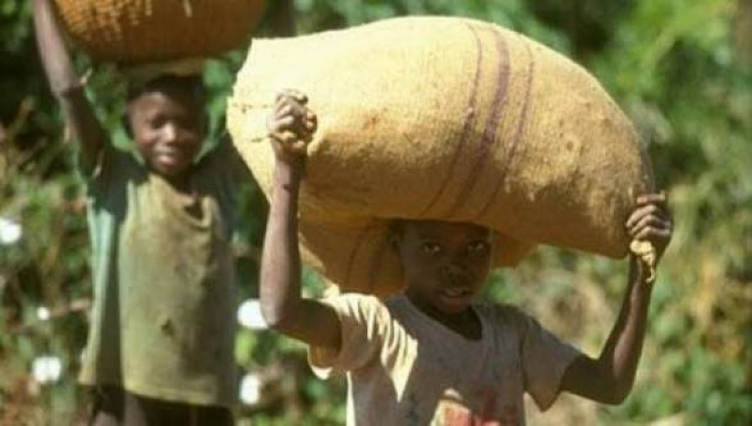 Côte d'Ivoire : Travail des enfants, 698 villages passés au crible dans 3 régions