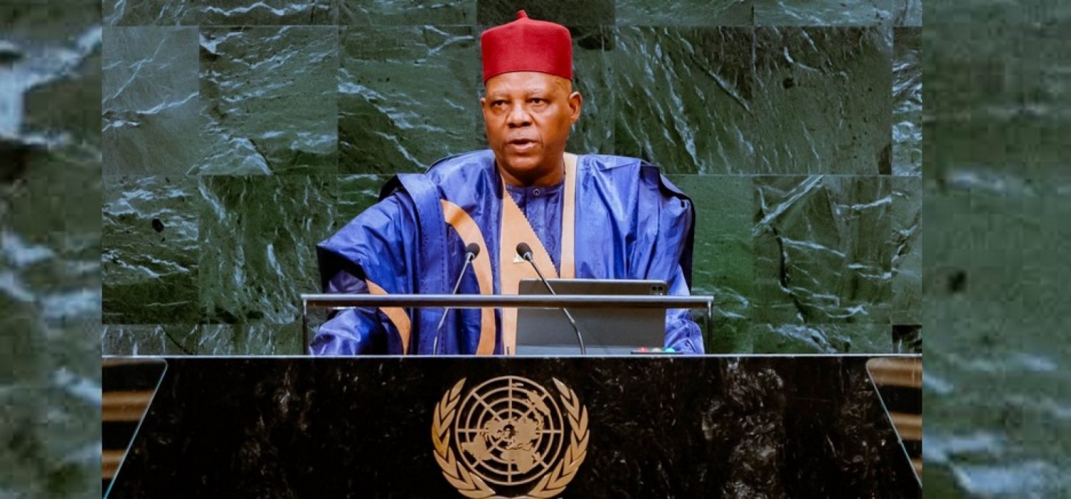 Afrique : Conseil de sécurité, le Nigeria réclame deux sièges permanents à l'ONU pour l'Afrique avec droit de veto