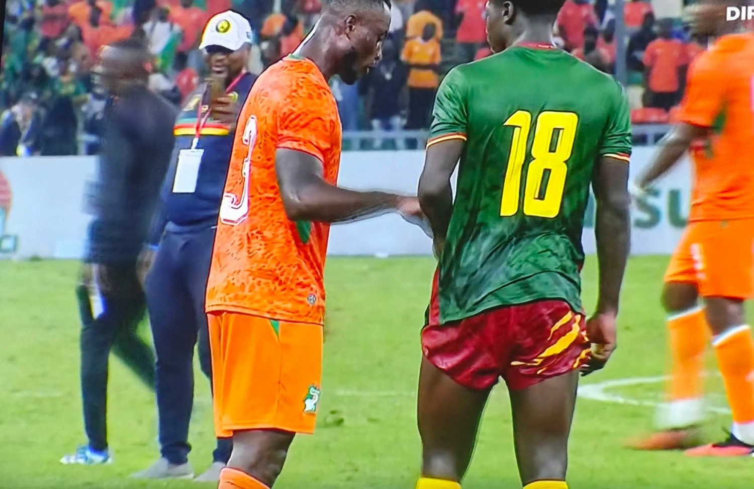 Côte d'Ivoire-Cameroun : Amical, Hervé Renard et les Éléphants tombent à Ebimpé face aux Lions Indomptables (1 - 0)