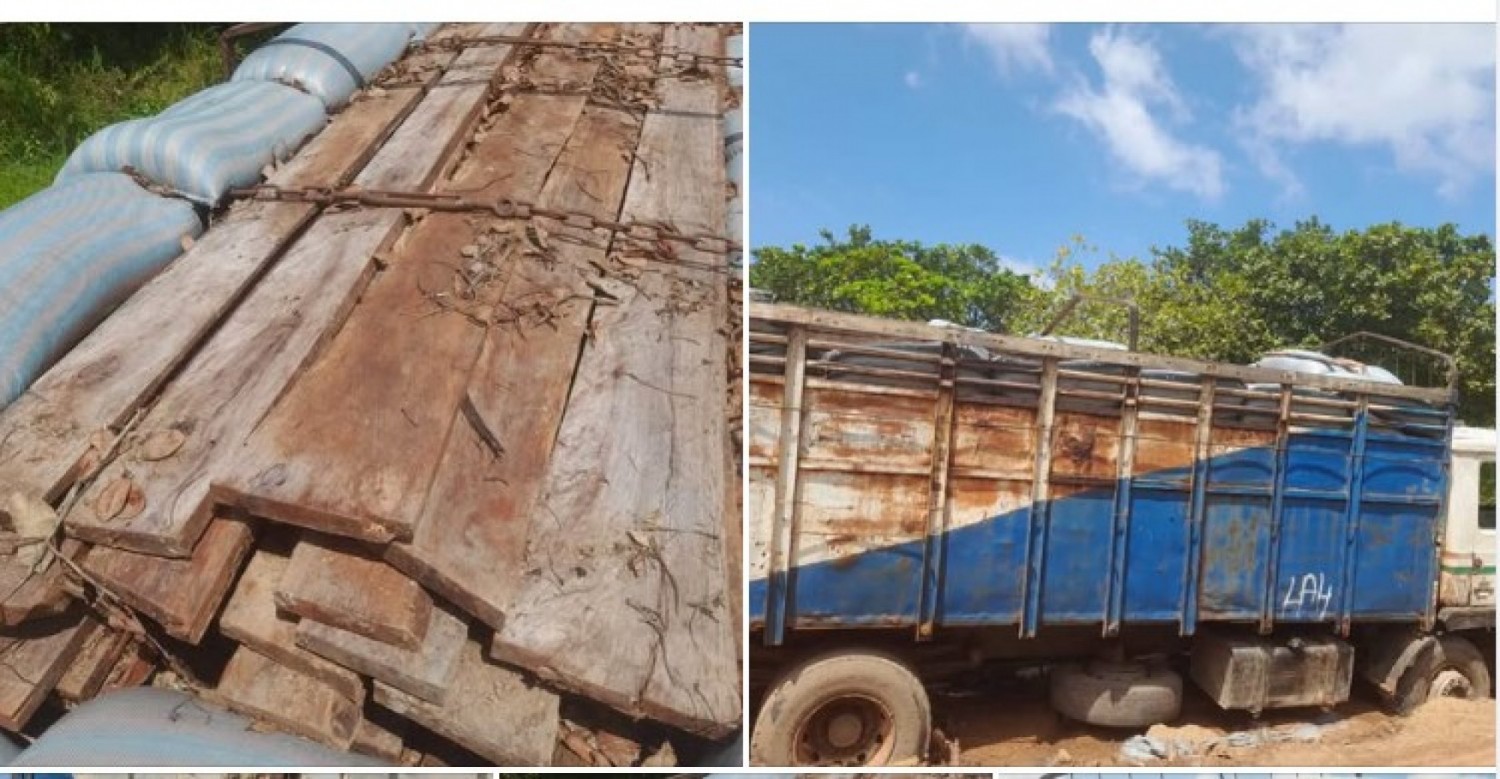 Côte d'Ivoire : Un camion de 10 tonnes chargé de bois de sciage à façon dissimulés sous des sacs de riz intercepté
