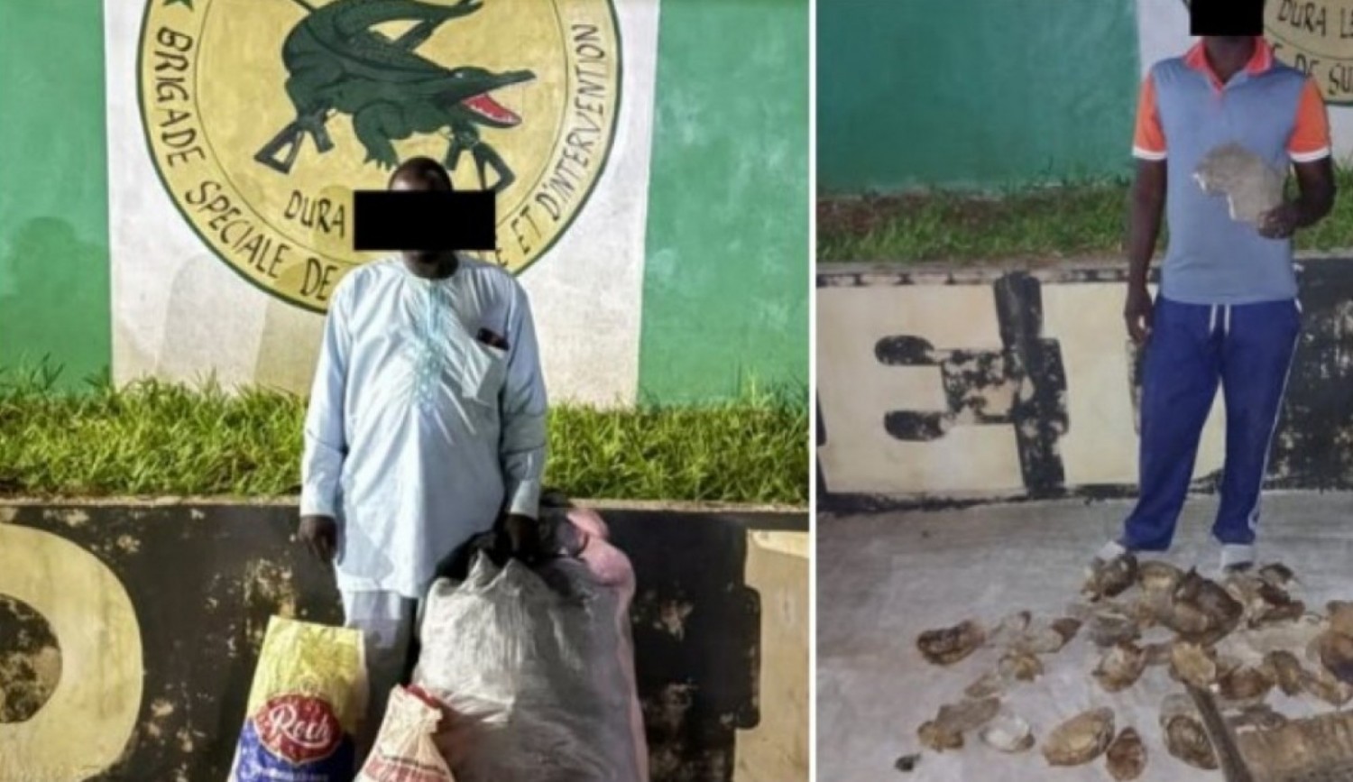 Côte d'Ivoire : Trafic d'espèces fauniques protégées, trois nigériens revendeurs présumés interpellés