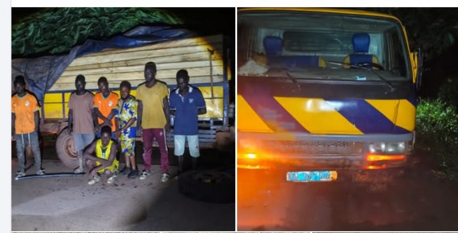 Côte d'Ivoire : Exploitation illégale du bois, les agents de la SODEFOR interceptent un camion et le chauffeur et ses apprentis interpellés