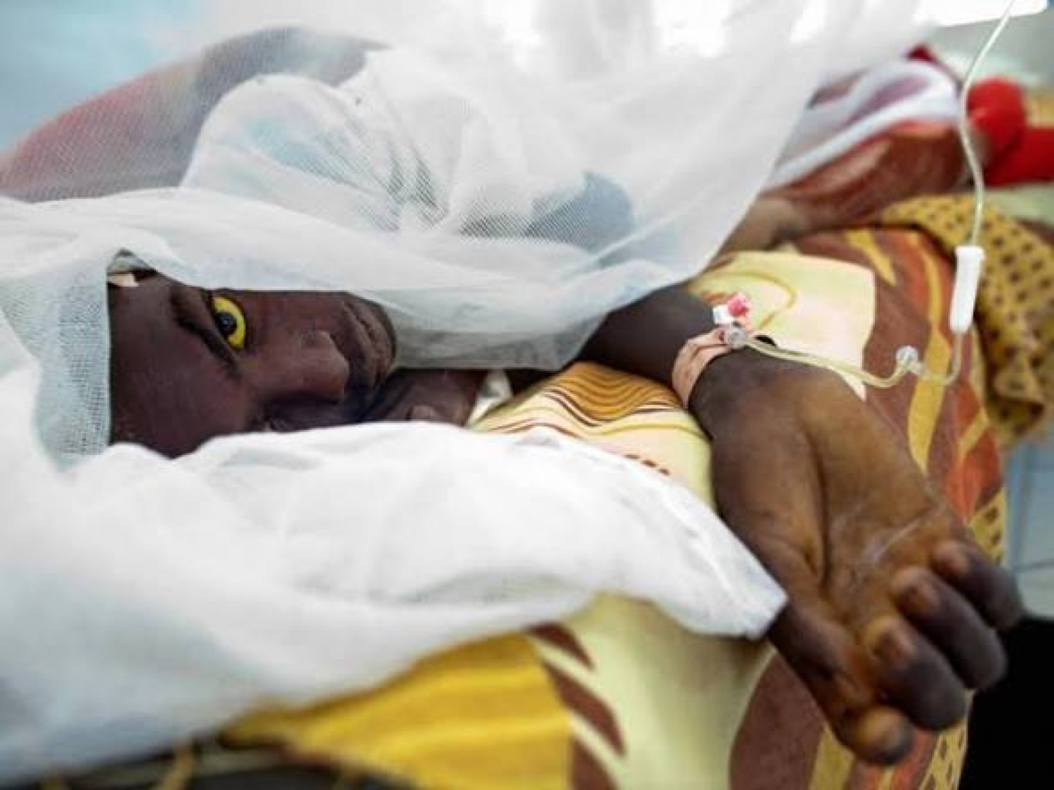 Côte d'Ivoire : Épidémie de Fièvre jaune, 11 morts dans le Bounkani, le gouvernement appelle à la vaccination, plus de 400 000 doses de vaccins disponibles