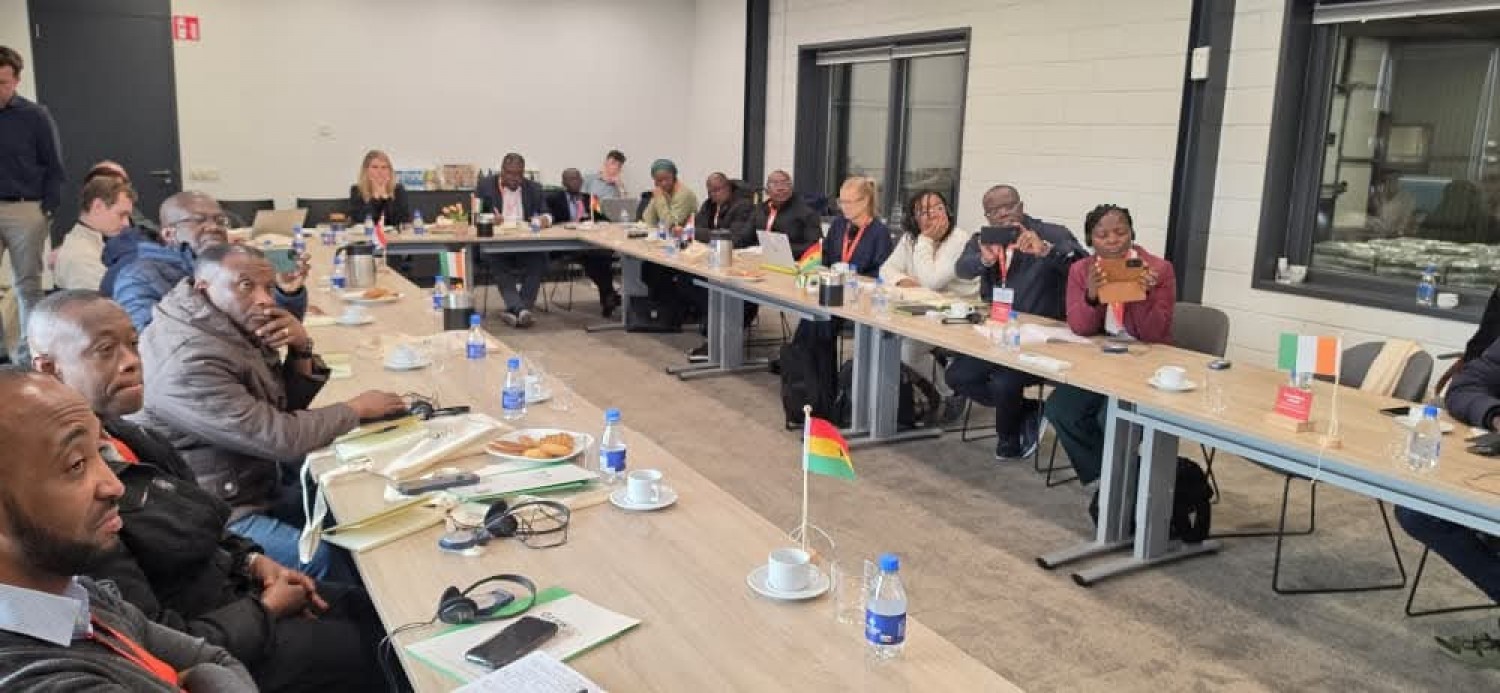 Côte d'Ivoire-Ghana : Au Pays-Bas, Abidjan et Accra renforcent leurs efforts conjoints dans la lutte contre la maladie du swollen shoot du cacaoyer