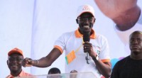 Côte d'Ivoire : Liste complète des candidats RHDP aux Municipales...