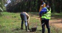 Côte d'Ivoire :    Conflit foncier à Bingerville, accusée d'avoir...