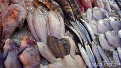 Cameroun : Dangote sollicite une licence d'importation pour le poisson