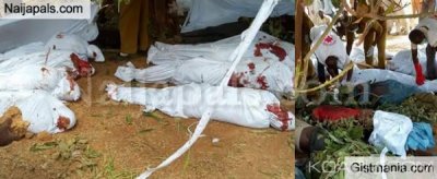 Nigeria  : 26  villageois abattus par des bandits armés dans l' Etat de Zamfara